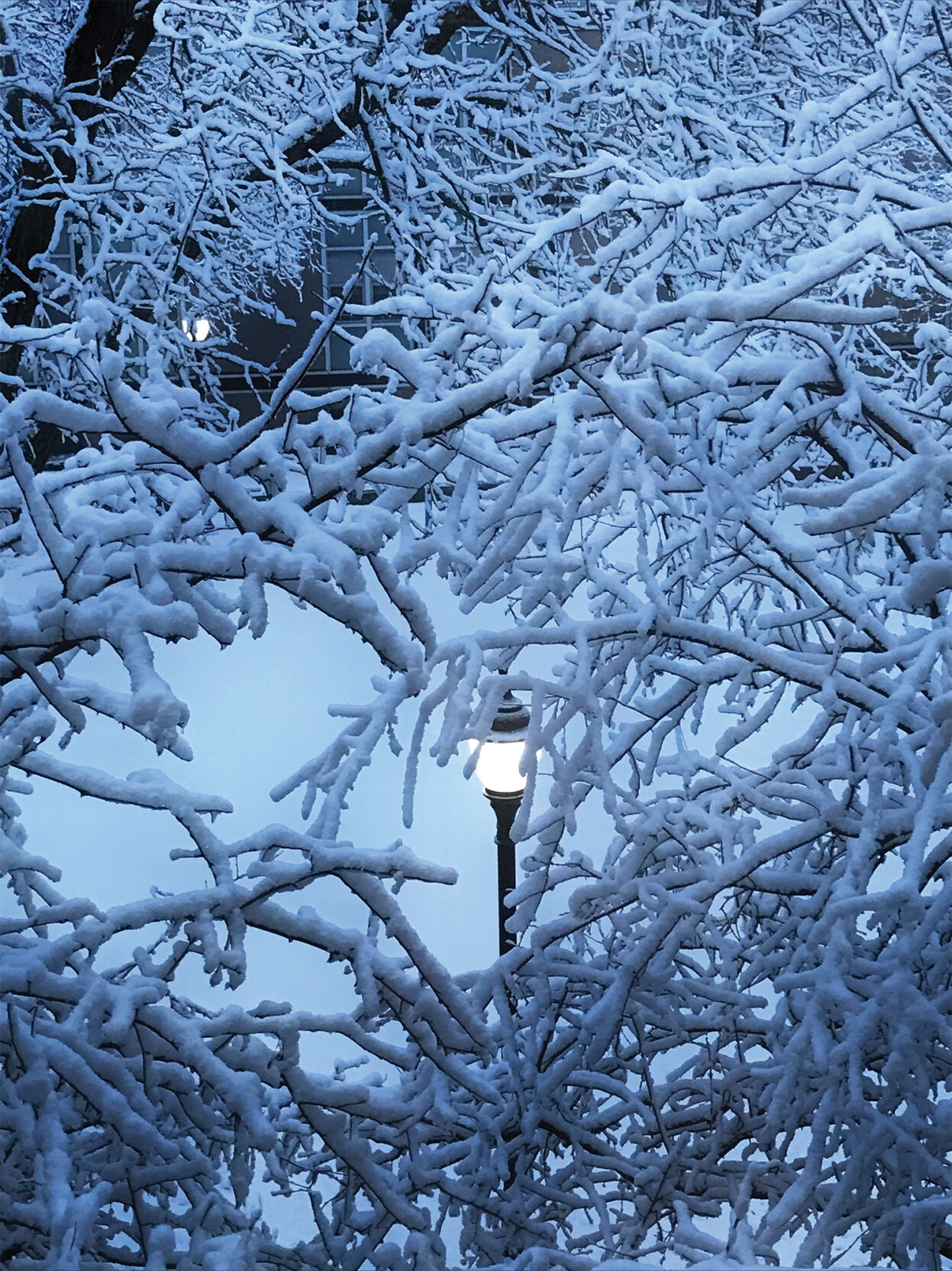 Niagara University snowscape
